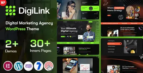DigiLink - Digital Marketing Agency Wordpress Theme